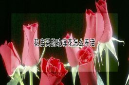 怎样预防仔猪轮状病毒感染