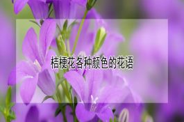 仔猪出生后第一周饲养管理要点