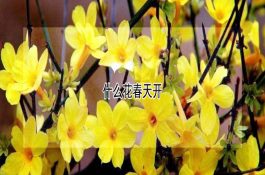 猪呼吸道病的治疗经验