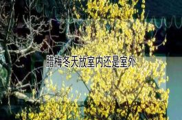 牛猪鸡夏秋防病关键