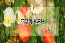 哺乳仔猪传染病的症状