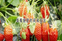 仔猪低血钙病的防治