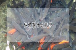 猪瘟的预防