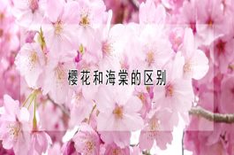 暖室养猪的优点