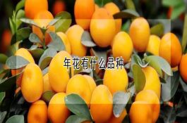 仔猪营养性贫血的防治浅谈
