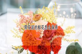 冬季孕牛的饲养护理四措施