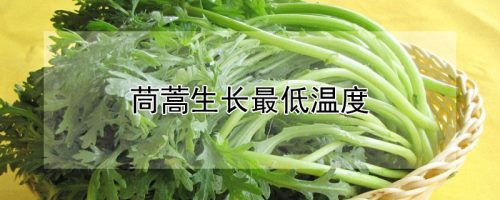 茼蒿生长最低温度