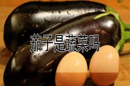 养鸡场如何进行布局