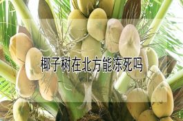 浅析鸡痘的流行特点及防治措施