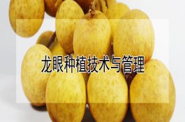 烟草赤星病的科学防治法
