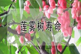 开春养鱼（做好四点）