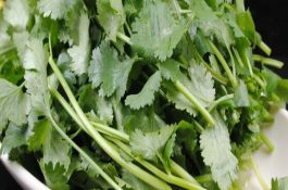 一起鸡场肉鸡发生禽霍乱的诊治