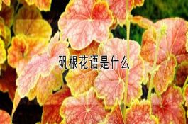 如何让鱼安全越冬