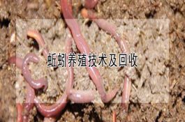 羊心水病的防