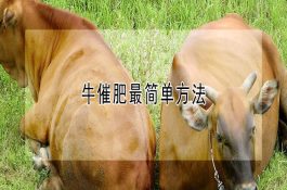 鳗鱼如何度过高温、台风季节 鳗鱼如何度过高温、台风季节