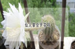 气温高鸡蛋产量受影响价格涨