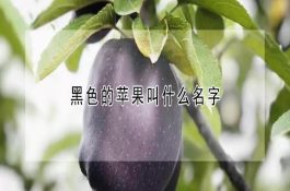 冬春季节中大鸡的饲养管理