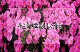 甲鱼冬季管理