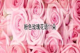 养鸡如何预防用药