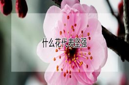 花尾榛鸡秋冬季的饲养