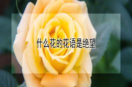 关于羊群夏季的保健五则