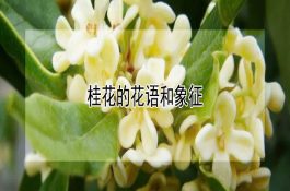 严格掌握鸡饲料原料的质量