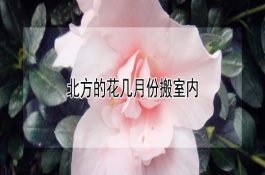 淡水鱼细菌性败血症的防治