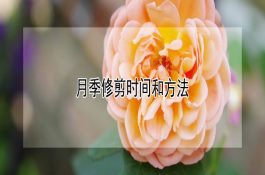 罗非鱼种苗的投放与管理技术