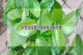 城市水源地生态养鱼