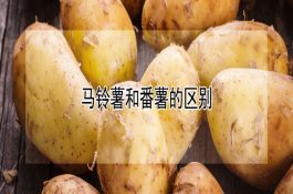 蛋鸡国内都有哪些优良的商业品种？