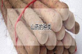 池塘养鱼的鱼种套养