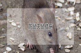 防鼠灭鼠措施