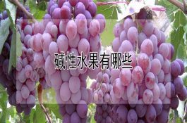 鸡的维生素A缺乏症及其防治措施