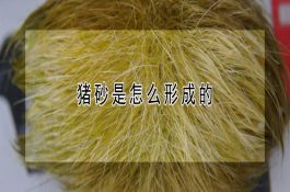 羊胃肠线虫病防治方法