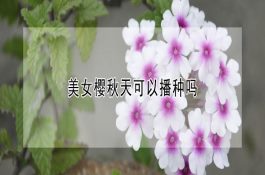 冬天喂牛讲究的技巧 冬天喂牛讲究的技巧