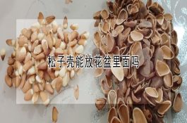 粉鸡