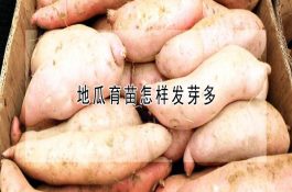冬季渔业生产有重点