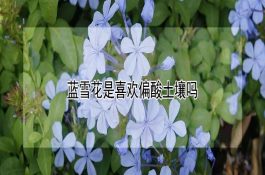 优质肉用羊杂交生产技术
