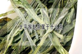 耕牛冬病治疗