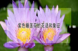 治鸡白痢可用醋蒜液