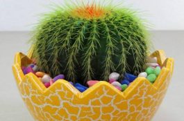 养奶牛有六种方法不对路