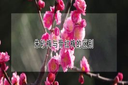 奶牛维生素A缺乏的原因与对策