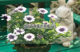肉羊常见病防治