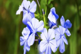 科学贩运鲜活甲鱼泥鳅黄鳝