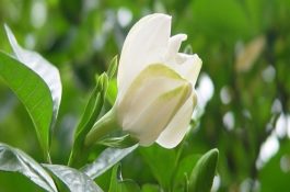 选择鱼饵四字经