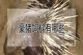 顾全兴（蟹池里养青虾）