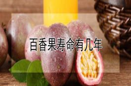 百香果寿命有几年 百香果寿命有几年