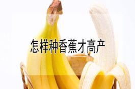大规格河蟹养殖十项关键性措施