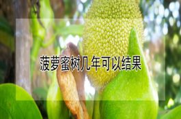 水稻新品种“辽盐16”简介