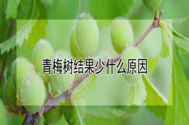 配合饲料养鱼技术